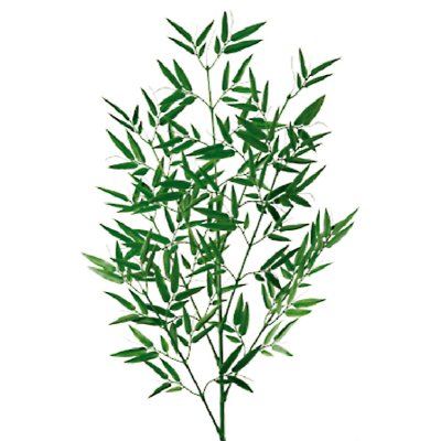 画像1: 竹 （造花）