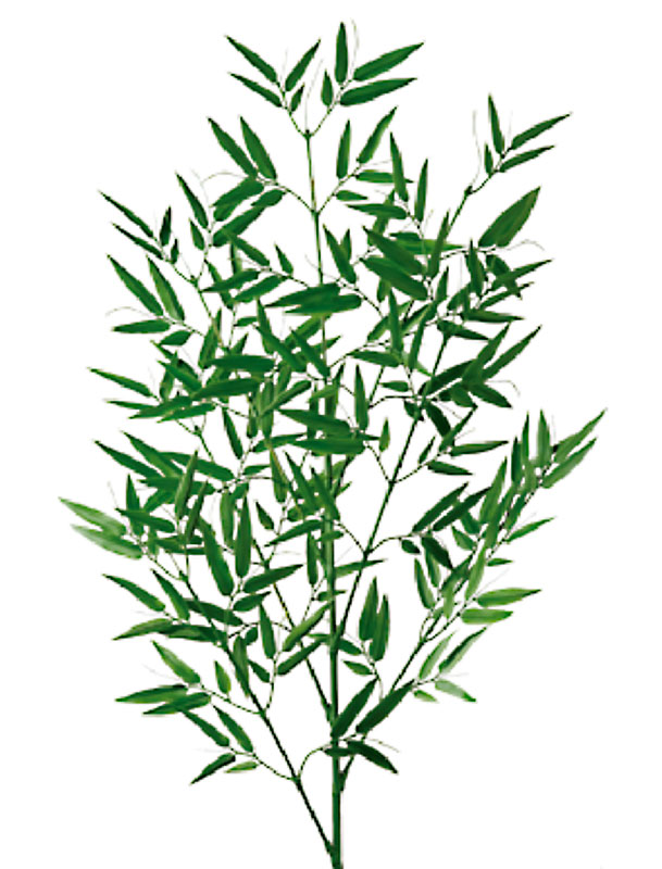 画像1: 竹 （造花） (1)
